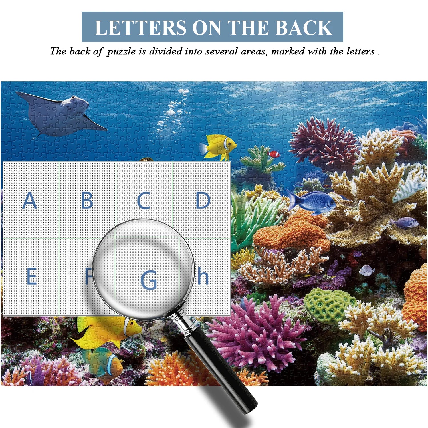 Coral Dream Jigsaw Puzzle 1000 Pieces