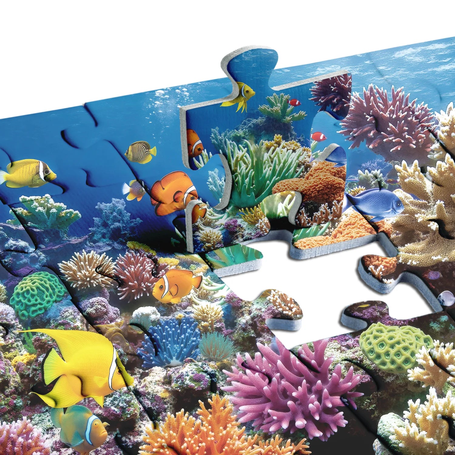 Coral Dream Jigsaw Puzzle 1000 Pieces