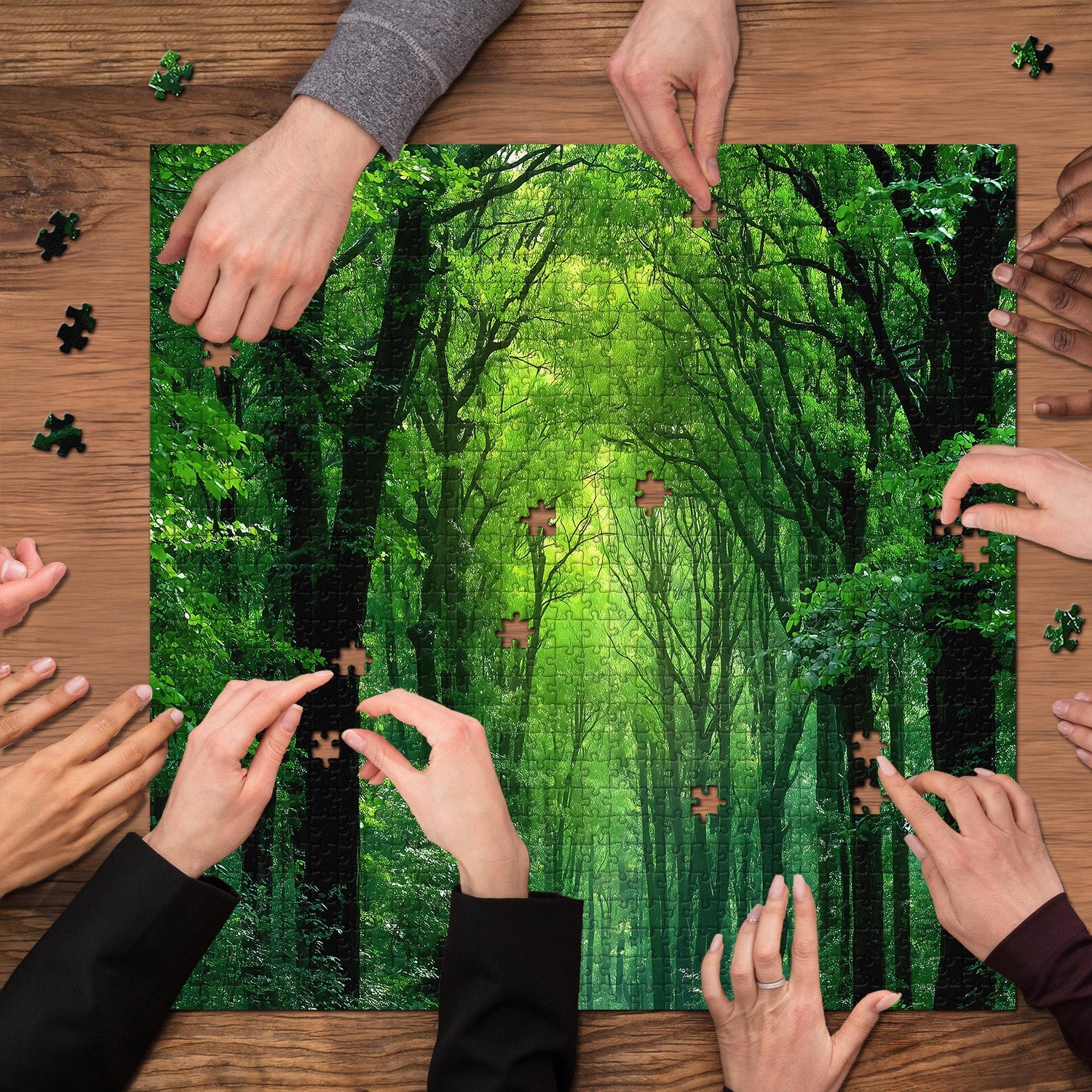 Peaceful Forest &nbsp;Jigsaw Puzzle 1000 Pieces
