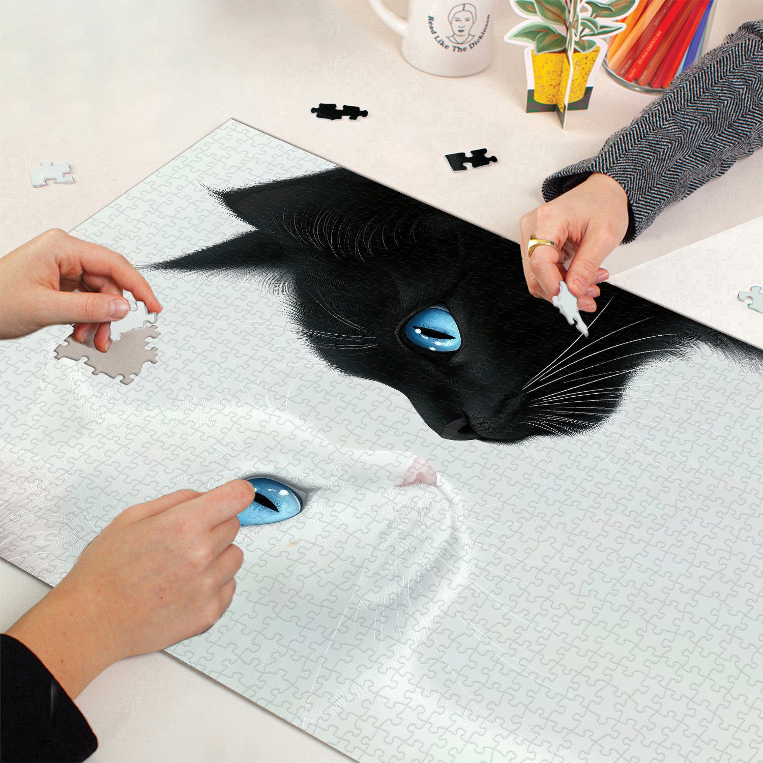 White & Black Cats Jigsaw Puzzle 1000 Pieces