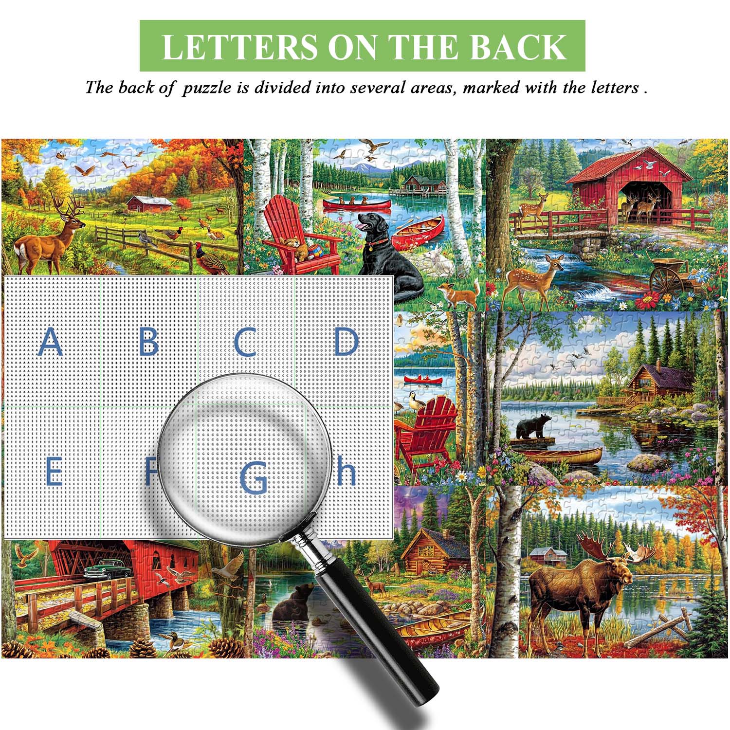 Outdoor Adventure Enthusiast Jigsaw Puzzle 1000 Pieces