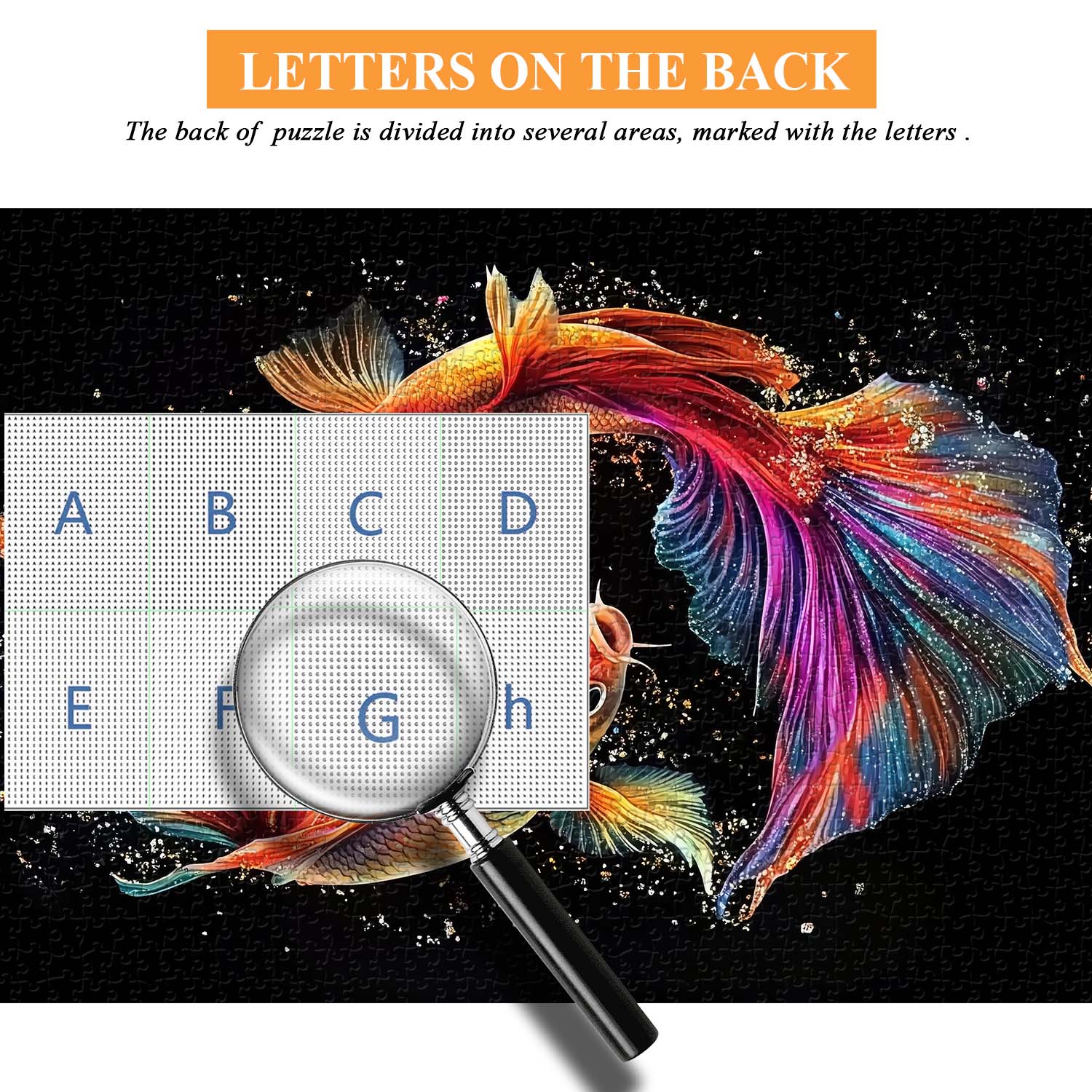 Colorful Fish Jigsaw Puzzle 1000 Pieces