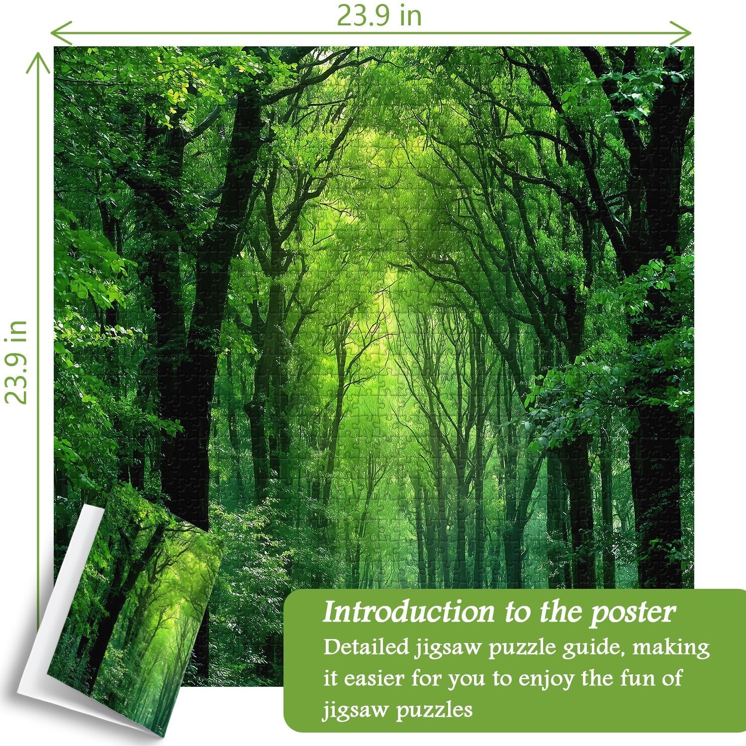 Peaceful Forest &nbsp;Jigsaw Puzzle 1000 Pieces