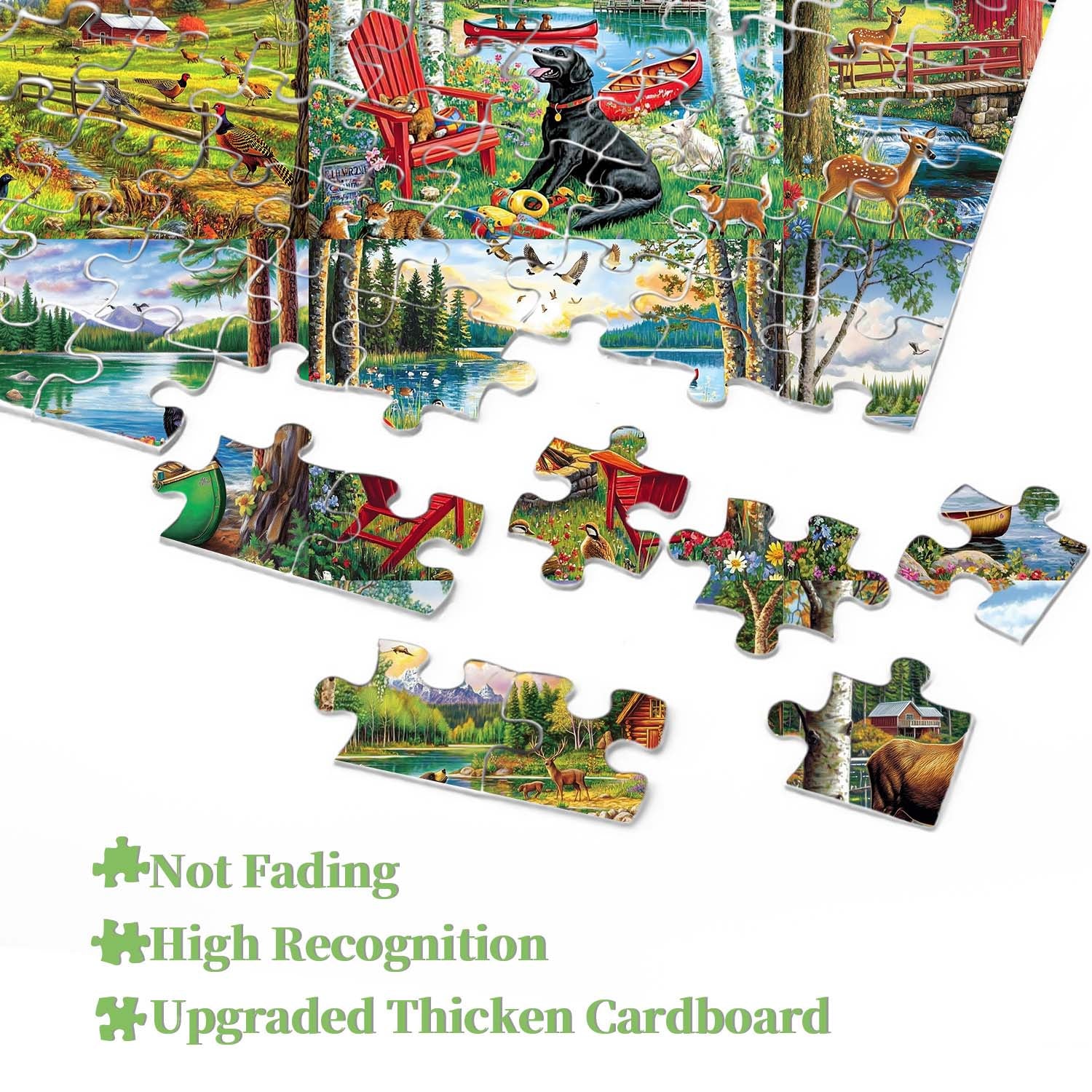 Outdoor Adventure Enthusiast Jigsaw Puzzle 1000 Pieces