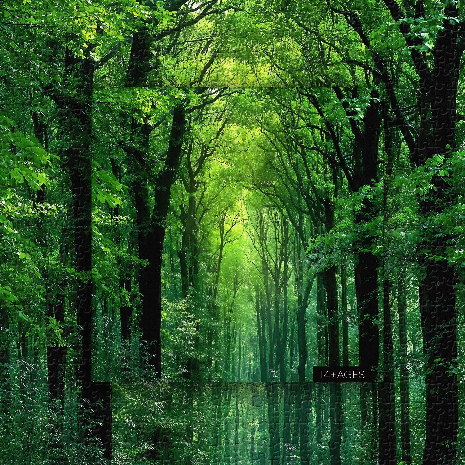 Peaceful Forest &nbsp;Jigsaw Puzzle 1000 Pieces