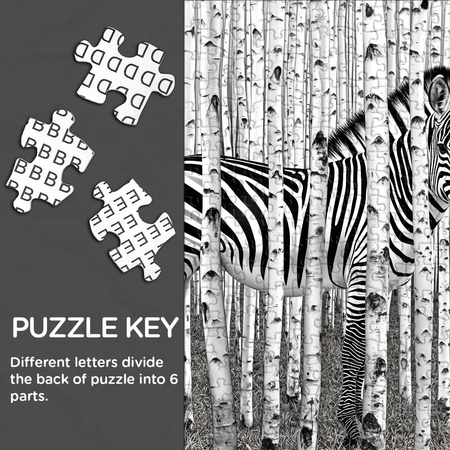 Zebra Forest Jigsaw Puzzle 1000 Pieces
