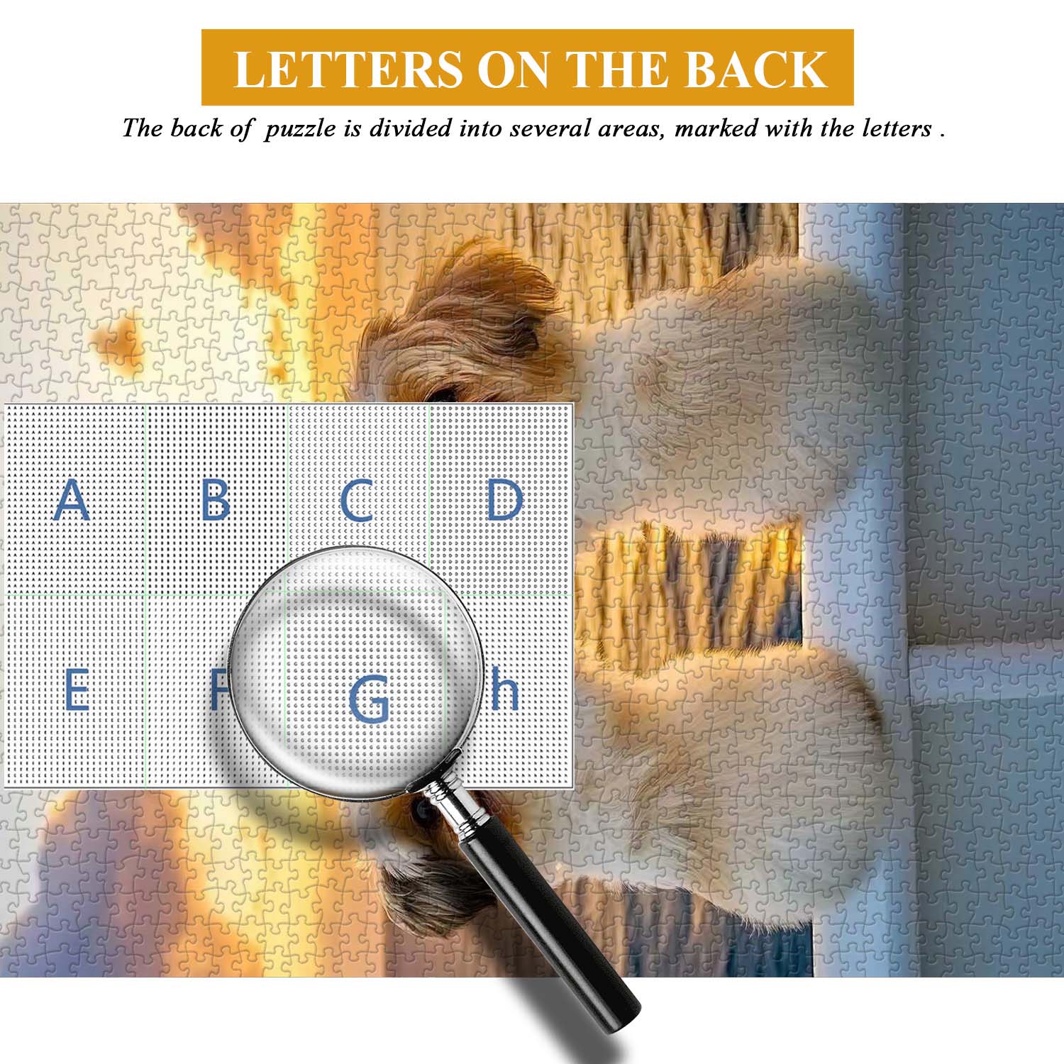 Dog High Five Jigsaw Puzzle 1000 Pieces